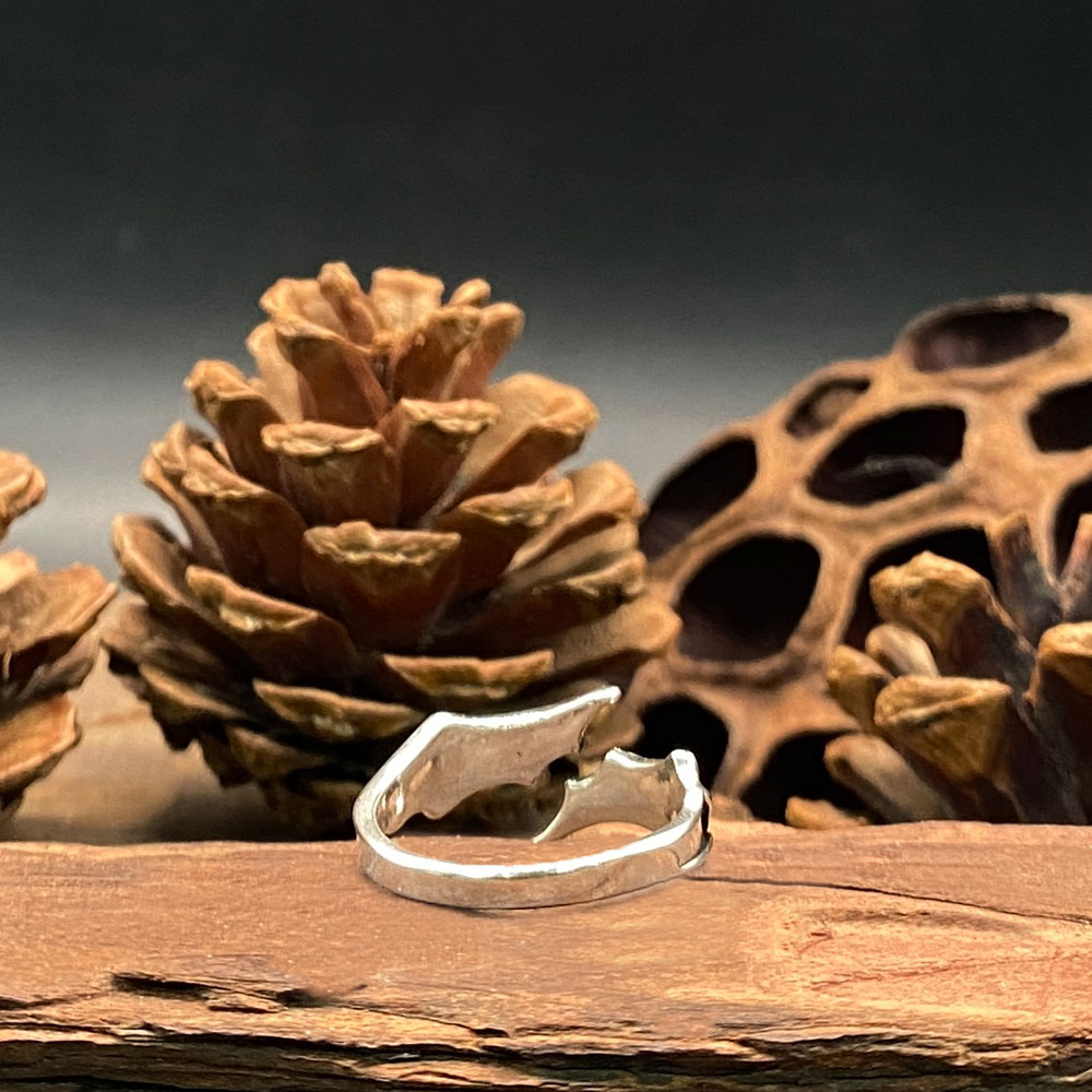 Gotische vleermuisvleugelring  - Gothic Skull Ring recensie en prijs